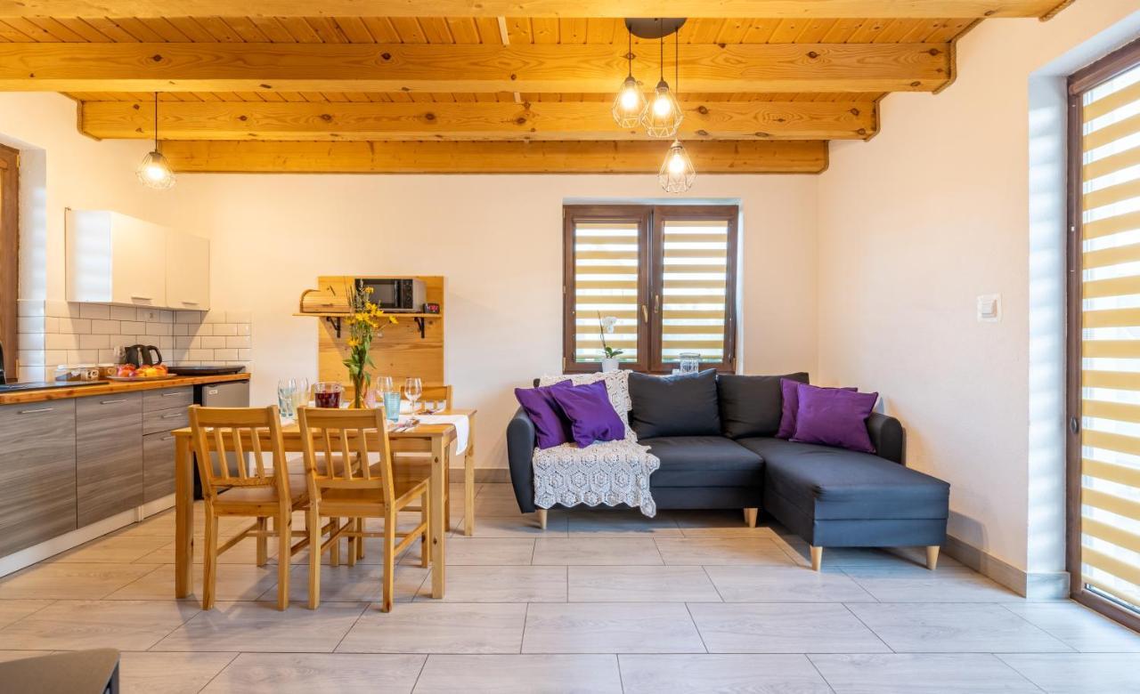 Pod Holica Bieszczady Holiday home *