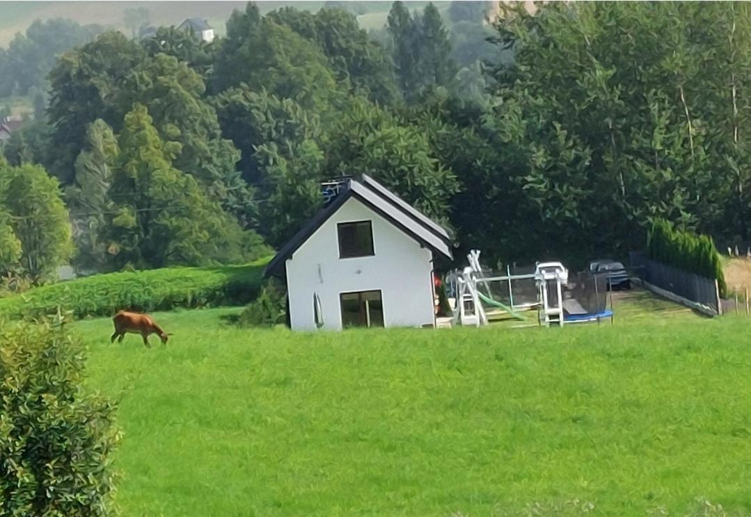 Holiday home Pod Holica Bieszczady Ustrzyki Dolne