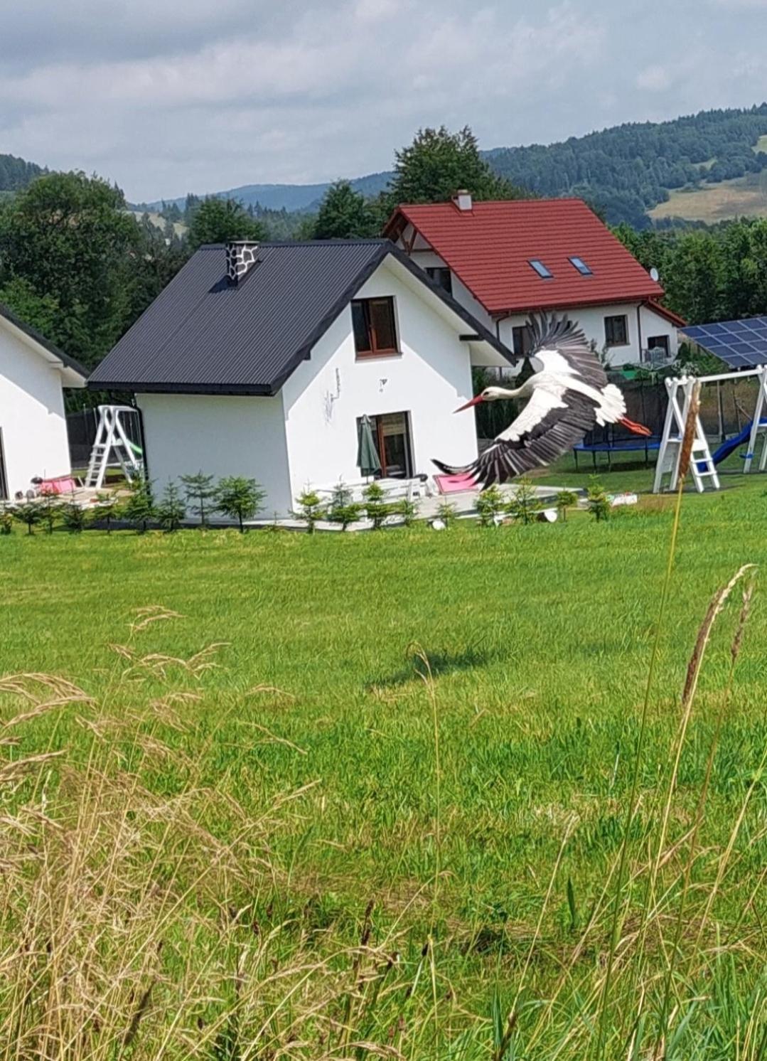 Holiday home Pod Holica Bieszczady