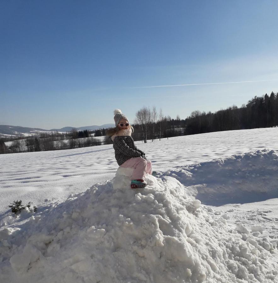 Pod Holica Bieszczady Holiday home Ustrzyki Dolne